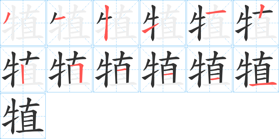 犆字的笔顺分布演示