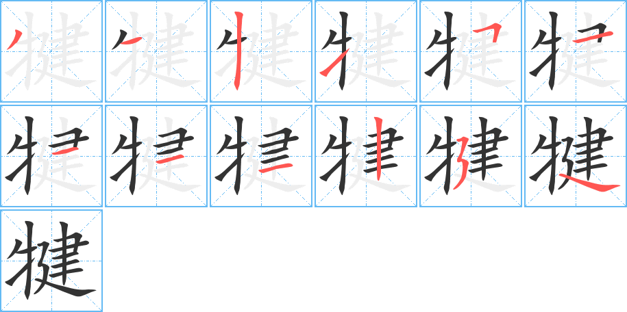 犍字的笔顺分布演示