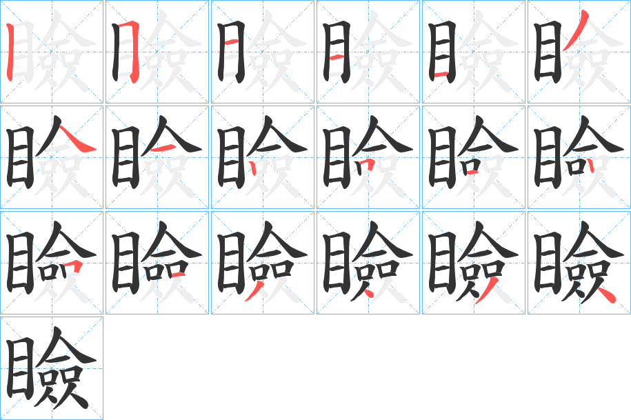 瞼字的笔顺分布演示