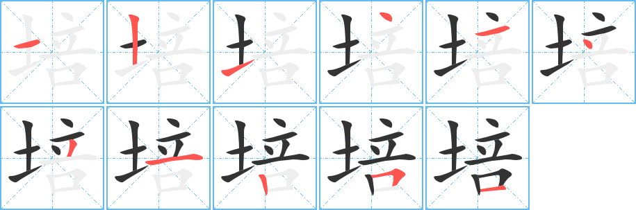 培字的笔顺分布演示