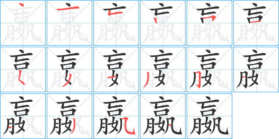 嬴字的笔顺分布演示