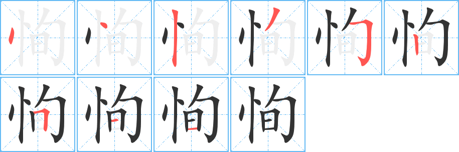 恂字的笔顺分布演示