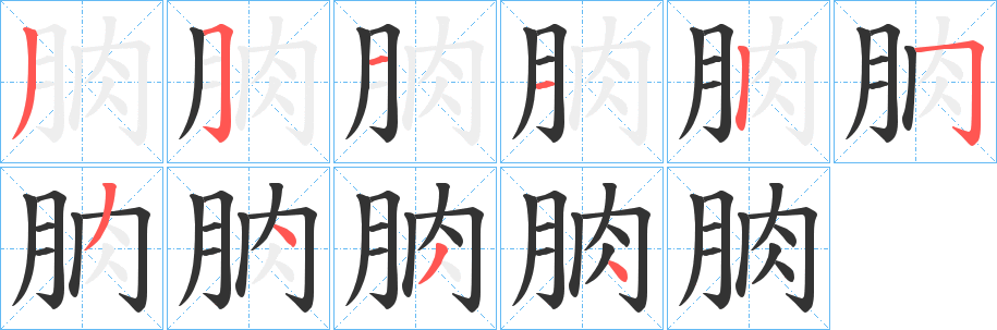 朒字的笔顺分布演示