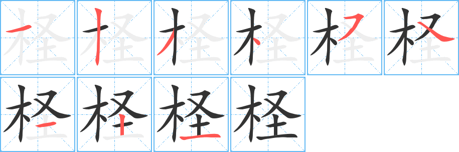 柽字的笔顺分布演示