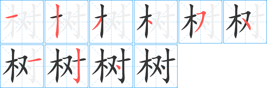 树字的笔顺分布演示