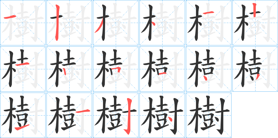 樹字的笔顺分布演示