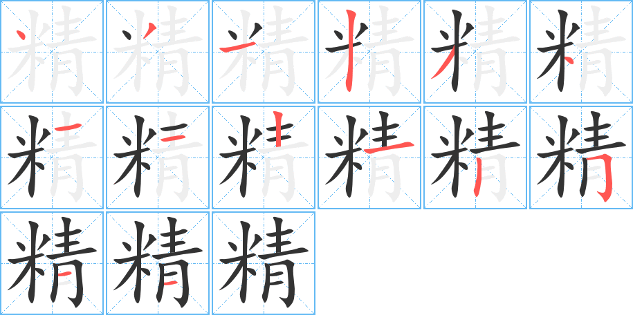 精字的笔顺分布演示