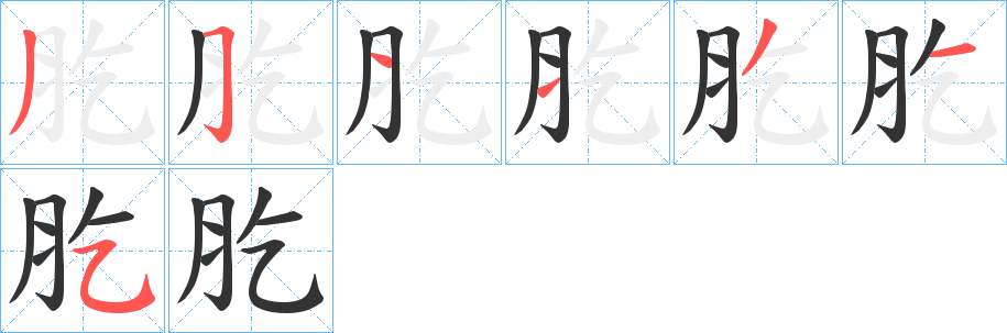 肐字的笔顺分布演示