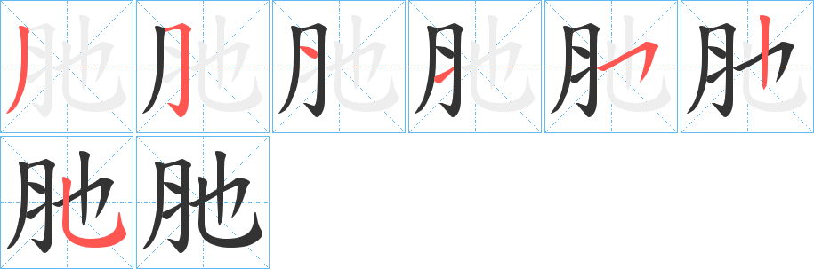 肔字的笔顺分布演示