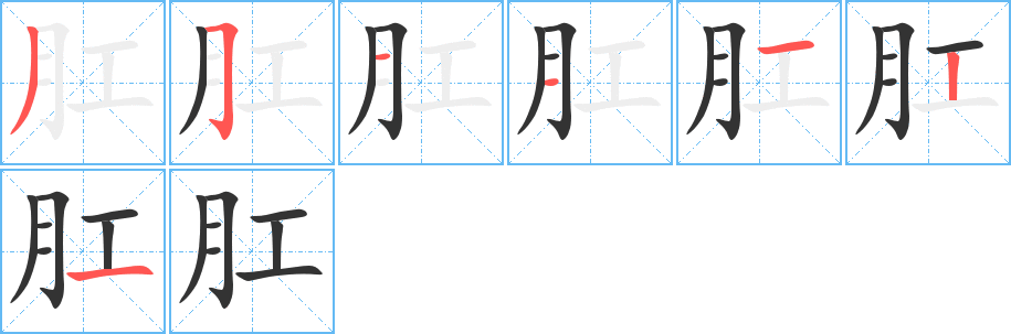 肛字的笔顺分布演示