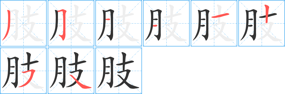 肢字的笔顺分布演示