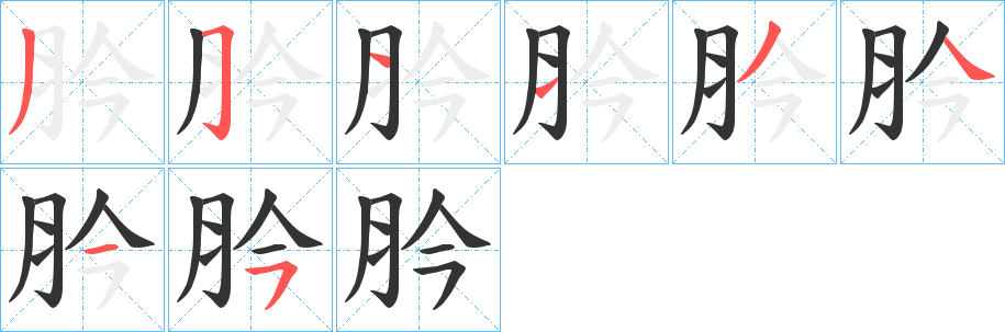 肣字的笔顺分布演示