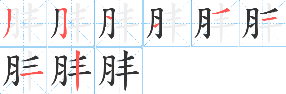 肨字的笔顺分布演示