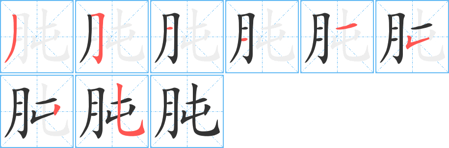 肫字的笔顺分布演示