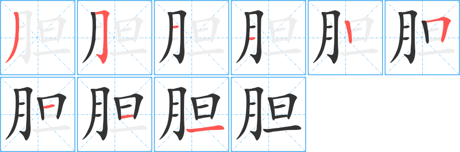 胆字的笔顺分布演示