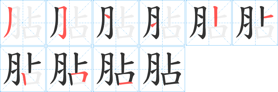 胋字的笔顺分布演示