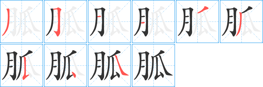 胍字的笔顺分布演示