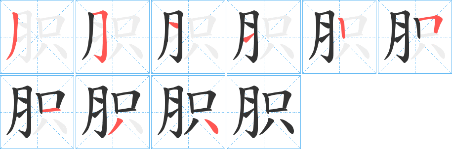 胑字的笔顺分布演示