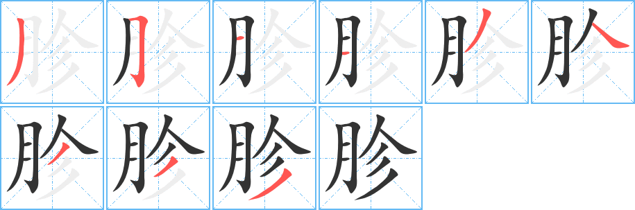 胗字的笔顺分布演示