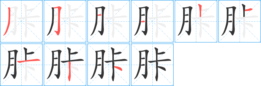 胩字的笔顺分布演示