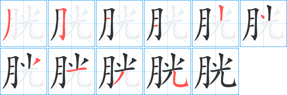 胱字的笔顺分布演示