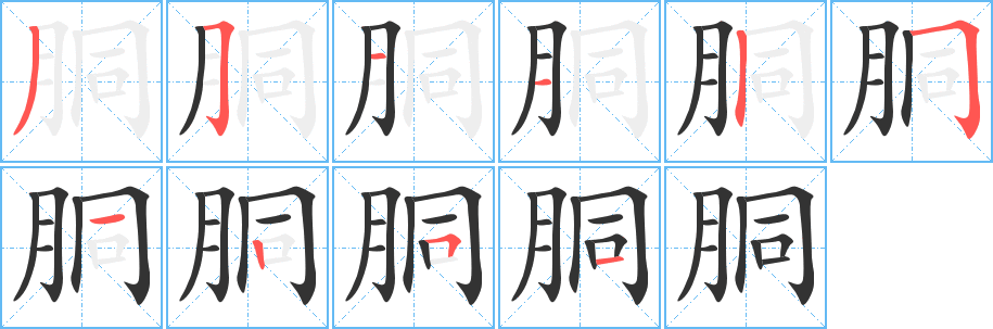 胴字的笔顺分布演示