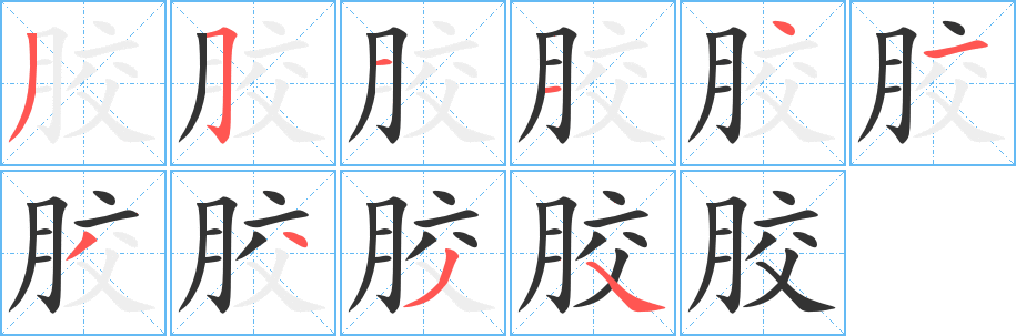 胶字的笔顺分布演示