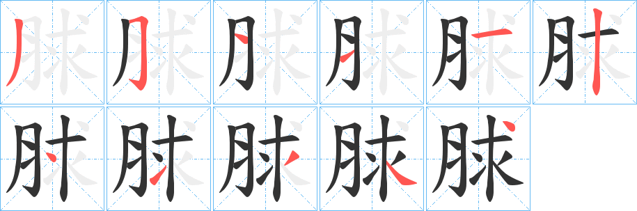 脙字的笔顺分布演示