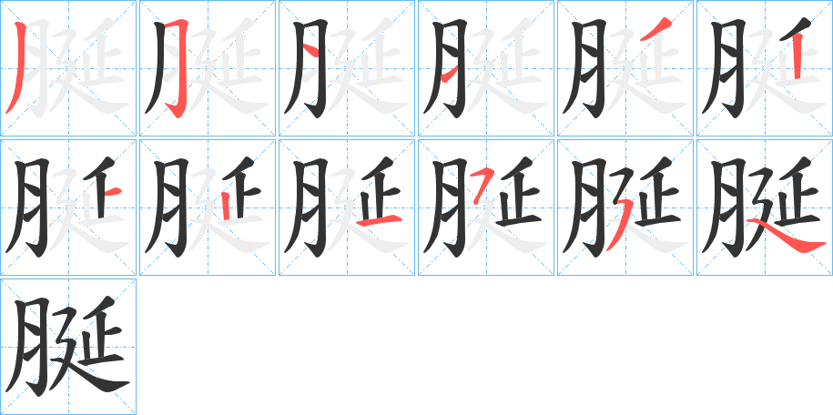 脠字的笔顺分布演示