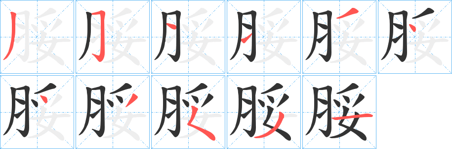 脮字的笔顺分布演示