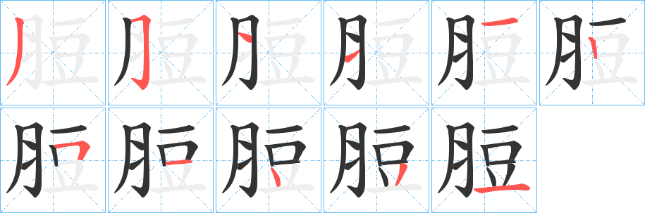 脰字的笔顺分布演示