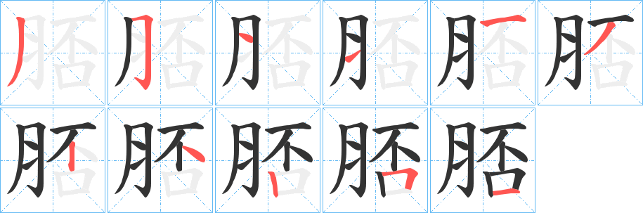 脴字的笔顺分布演示