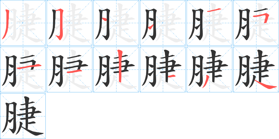 脻字的笔顺分布演示