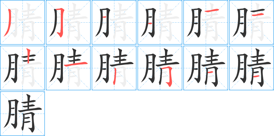 腈字的笔顺分布演示