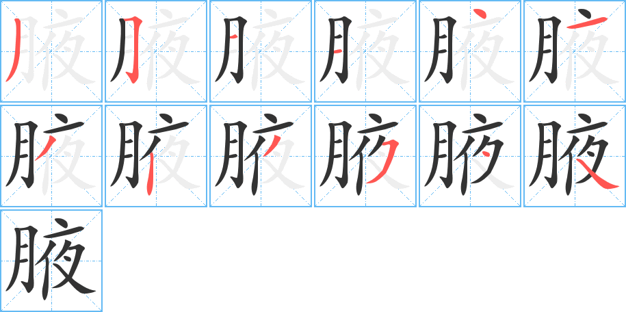 腋字的笔顺分布演示