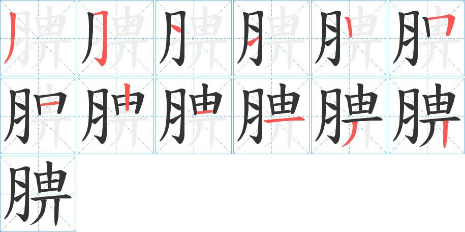 腗字的笔顺分布演示