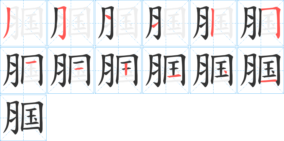 腘字的笔顺分布演示