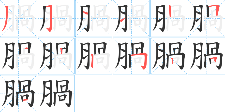 腡字的笔顺分布演示