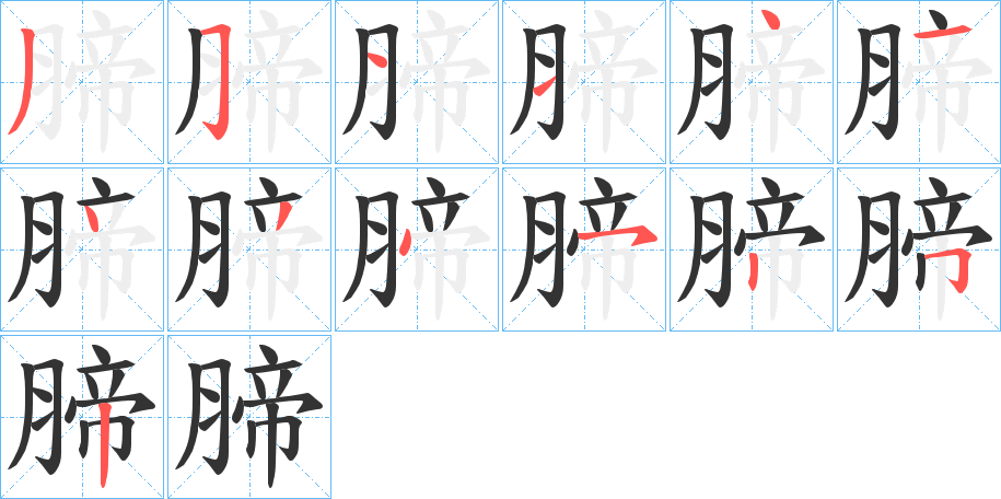 腣字的笔顺分布演示