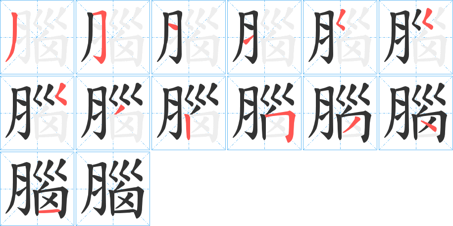 腦字的笔顺分布演示