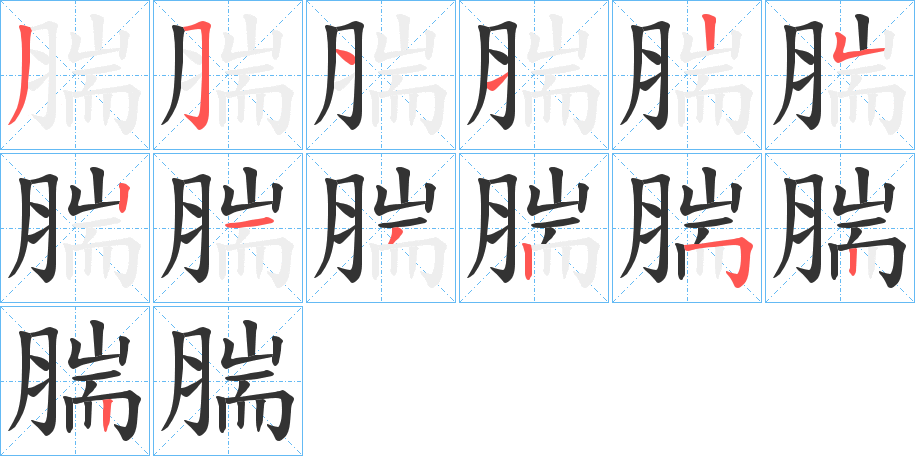 腨字的笔顺分布演示