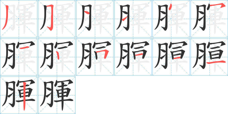 腪字的笔顺分布演示