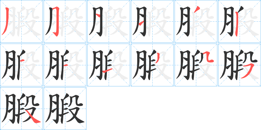 腶字的笔顺分布演示