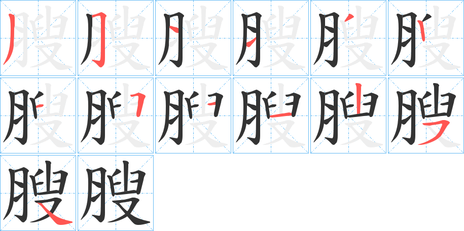 膄字的笔顺分布演示