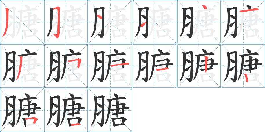 膅字的笔顺分布演示