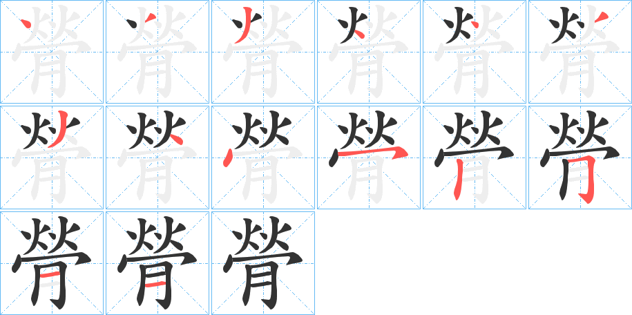 膋字的笔顺分布演示