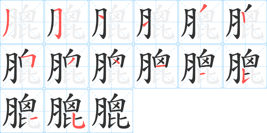 膍字的笔顺分布演示