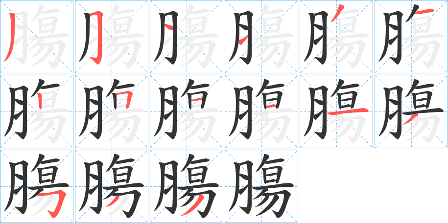 膓字的笔顺分布演示