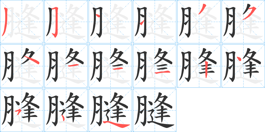 膖字的笔顺分布演示