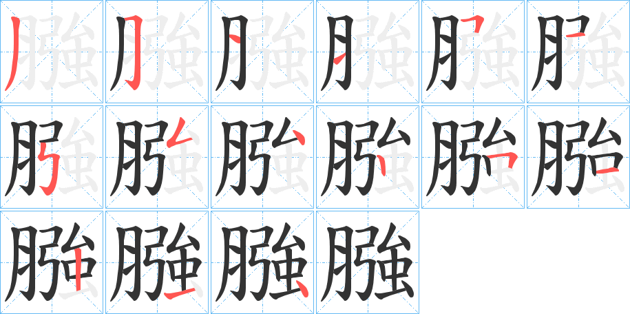 膙字的笔顺分布演示